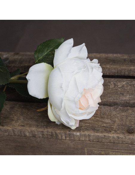 Affordable industrial style furniture Hill Interiors Blush Garden Rose 18945 for modern home decor, free shipping options and s