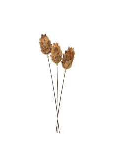 Hill Interiors Bouquet Of Dried Protea 22205 - Authentic Hill Interiors furniture directly from FastDaddy UK. Exclusive collect