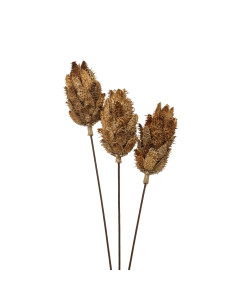 Hill Interiors Bouquet Of Dried Protea 22205 - Authentic Hill Interiors furniture directly from FastDaddy UK. Exclusive collect 2