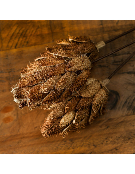 High-quality metal and wood construction of Hill Interiors SKU 22205 Bouquet Of Dried Protea, detailed view for UK customers.