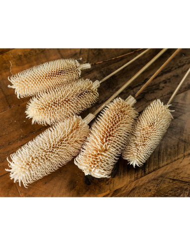 Affordable industrial style furniture Hill Interiors Bouquet Of Dried Tall Thistle 22207 for modern home decor, free shipping o