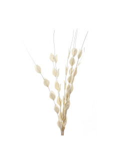 Hill Interiors Bouquet Of Dried Thlaspi Arvense 22203 - Authentic Hill Interiors furniture directly from FastDaddy UK. Exclusiv 2