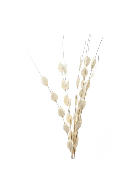 Buy Hill Interiors 22203 Bouquet Of Dried Thlaspi Arvense online in UK with fast delivery from FastDaddy UK, your furniture exp