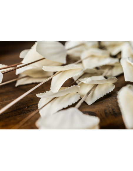 High-quality metal and wood construction of Hill Interiors SKU 22203 Bouquet Of Dried Thlaspi Arvense, detailed view for UK cus