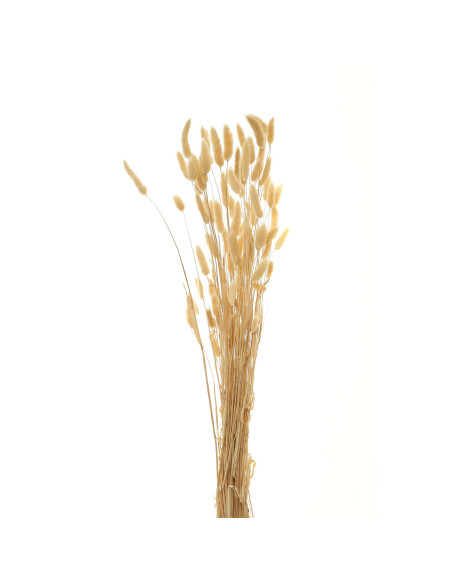 Buy Hill Interiors 22204 Bouquet Of Tall Bunny Tails online in UK with fast delivery from FastDaddy UK, your furniture expert.