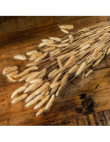 Affordable industrial style furniture Hill Interiors Bouquet Of Tall Bunny Tails 22204 for modern home decor, free shipping opt