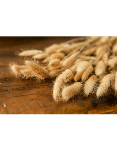 High-quality metal and wood construction of Hill Interiors SKU 22204 Bouquet Of Tall Bunny Tails, detailed view for UK customer