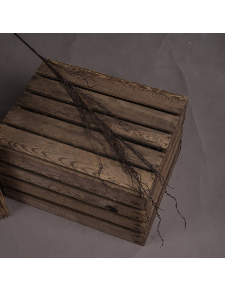 Buy Hill Interiors 19554 Branch Spray online in UK with fast delivery from FastDaddy UK, your furniture expert.