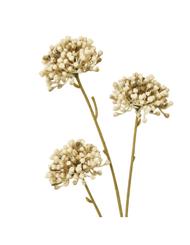Buy Hill Interiors 23831 Brown Allium Spray online in UK with fast delivery from FastDaddy UK, your furniture expert.