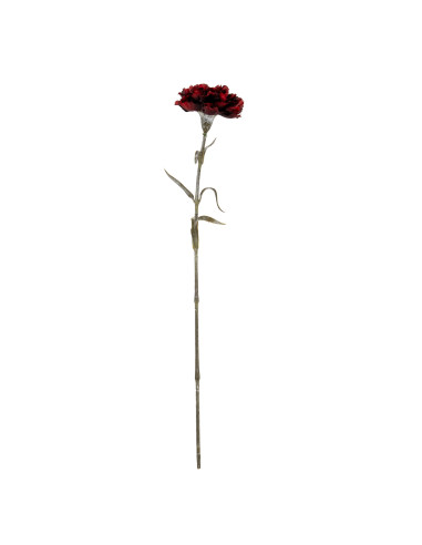 Buy Hill Interiors 24432 Burgundy Carnation Stem online in UK with fast delivery from FastDaddy UK, your furniture expert.