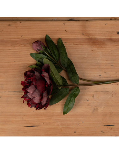 Buy Hill Interiors 19739 Burgundy Peony Rose online in UK with fast delivery from FastDaddy UK, your furniture expert.