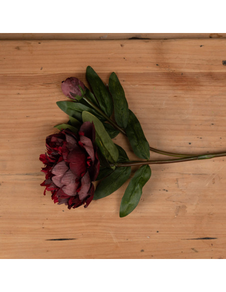 Buy Hill Interiors 19739 Burgundy Peony Rose online in UK with fast delivery from FastDaddy UK, your furniture expert.