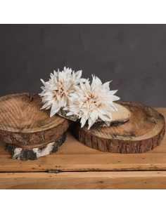 Hill Interiors Café Au Lait 19571 - Authentic Hill Interiors furniture directly from FastDaddy UK. Exclusive collection online. 2