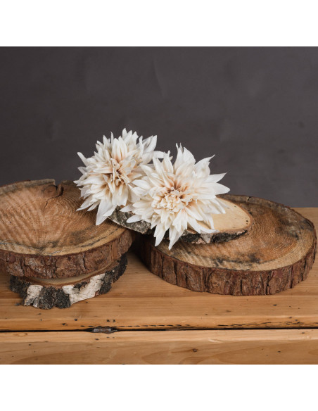 Buy Hill Interiors 19571 Café Au Lait online in UK with fast delivery from FastDaddy UK, your furniture expert.