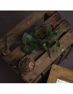 Hill Interiors Cineraria Eucalyptus Spray 18954 - Authentic Hill Interiors furniture directly from FastDaddy UK. Exclusive coll 2