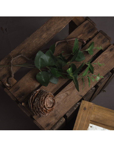 Buy Hill Interiors 18954 Cineraria Eucalyptus Spray online in UK with fast delivery from FastDaddy UK, your furniture expert.