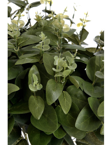 Full dimensions and specifications of Hill Interiors Cineraria Eucalyptus Spray 18954: Height 62.00cm, Width 20.00cm, perfect f