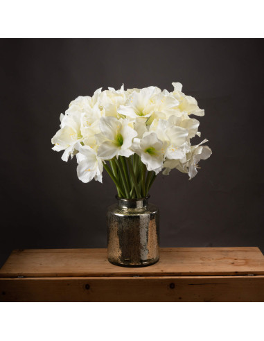 Hill Interiors Classic White Amaryllis Flower 17624 - Authentic Hill Interiors furniture directly from FastDaddy UK. Exclusive