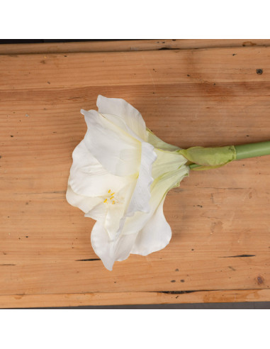 Buy Hill Interiors 17624 Classic White Amaryllis Flower online in UK with fast delivery from FastDaddy UK, your furniture exper