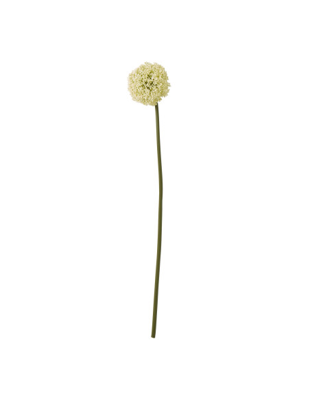 Hill Interiors Cream Allium Stem 23850 - Authentic Hill Interiors furniture directly from FastDaddy UK. Exclusive collection on