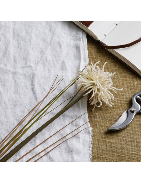 Buy Hill Interiors 22741 Cream Aster Spider Chrysanthemum Stem online in UK with fast delivery from FastDaddy UK, your furnitur