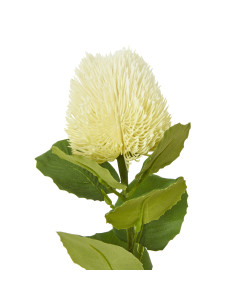 Hill Interiors Cream Banksia Stem 23814 - Authentic Hill Interiors furniture directly from FastDaddy UK. Exclusive collection o 2