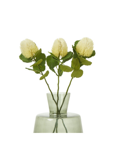 Affordable industrial style furniture Hill Interiors Cream Banksia Stem 23814 for modern home decor, free shipping options and