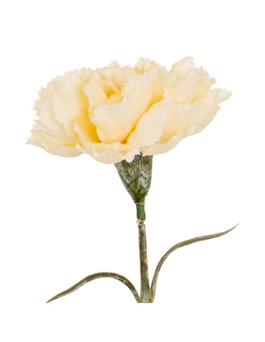 Hill Interiors Cream Carnation Stem 24431 - Authentic Hill Interiors furniture directly from FastDaddy UK. Exclusive collection