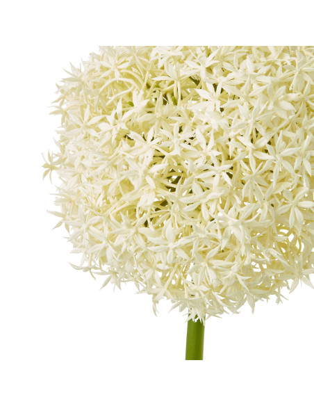 Buy Hill Interiors 23845 Cream Giant Allium Stem online in UK with fast delivery from FastDaddy UK, your furniture expert.