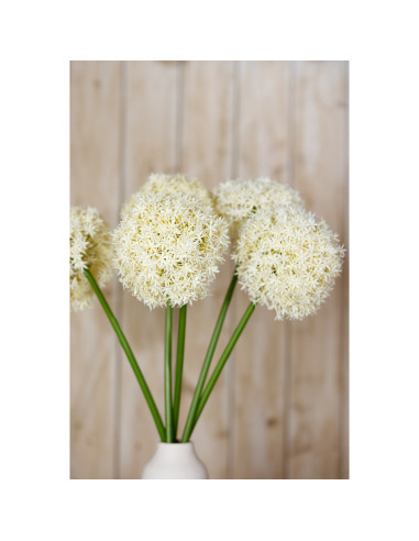Full dimensions and specifications of Hill Interiors Cream Giant Allium Stem 23845: Height 90.00cm, Width 0.00cm, perfect for y