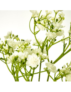 Hill Interiors Cream Gypsophila Stem 23848 - Authentic Hill Interiors furniture directly from FastDaddy UK. Exclusive collectio 2