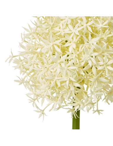 Buy Hill Interiors 23861 Cream Medium Allium Stem online in UK with fast delivery from FastDaddy UK, your furniture expert.
