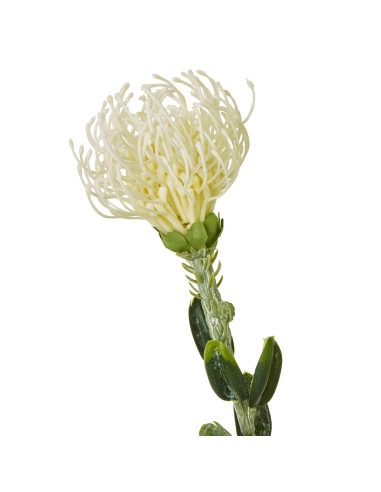 Buy Hill Interiors 23837 Cream Pincushion Protea Spray online in UK with fast delivery from FastDaddy UK, your furniture expert