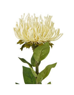Hill Interiors Cream Protea Lorea Stem 23844 - Authentic Hill Interiors furniture directly from FastDaddy UK. Exclusive collect 2