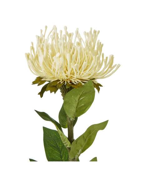 Buy Hill Interiors 23844 Cream Protea Lorea Stem online in UK with fast delivery from FastDaddy UK, your furniture expert.