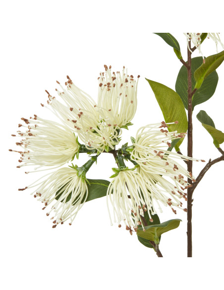 Buy Hill Interiors 23822 Cream Protea Nitida Spray online in UK with fast delivery from FastDaddy UK, your furniture expert.