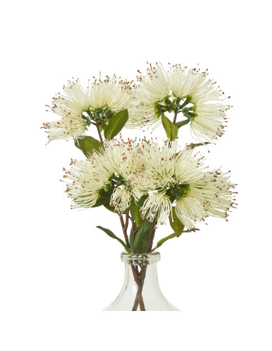 Affordable industrial style furniture Hill Interiors Cream Protea Nitida Spray 23822 for modern home decor, free shipping optio