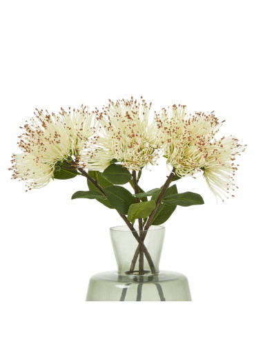 Affordable industrial style furniture Hill Interiors Cream Protea Nitida Stem 23821 for modern home decor, free shipping option