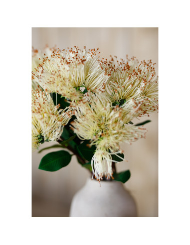 Full dimensions and specifications of Hill Interiors Cream Protea Nitida Stem 23821: Height 45.00cm, Width 0.00cm, perfect for