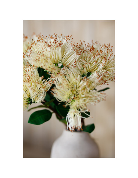Full dimensions and specifications of Hill Interiors Cream Protea Nitida Stem 23821: Height 45.00cm, Width 0.00cm, perfect for