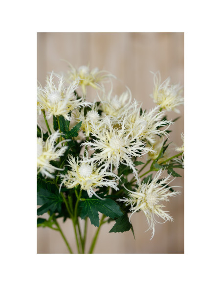 Full dimensions and specifications of Hill Interiors Cream Sea Holly Spray 23818: Height 67.00cm, Width 0.00cm, perfect for you