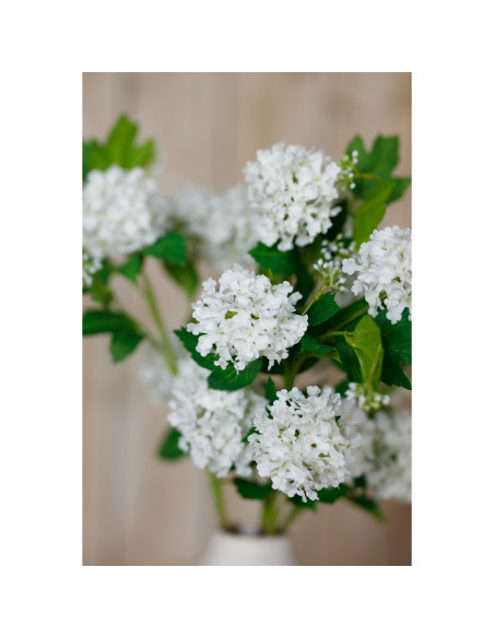 Full dimensions and specifications of Hill Interiors Cream Snowball Viburnum Spray 23833: Height 77.00cm, Width 0.00cm, perfect