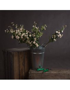 Buy Hill Interiors 19043 Cream Wild Meadow Rose online in UK with fast delivery from FastDaddy UK, your furniture expert. 2