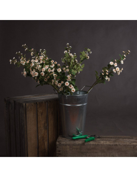 Hill Interiors Cream Wild Meadow Rose 19043 - Authentic Hill Interiors furniture directly from FastDaddy UK. Exclusive collecti