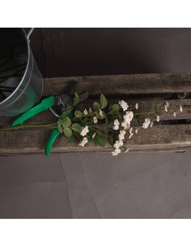 Buy Hill Interiors 19043 Cream Wild Meadow Rose online in UK with fast delivery from FastDaddy UK, your furniture expert.