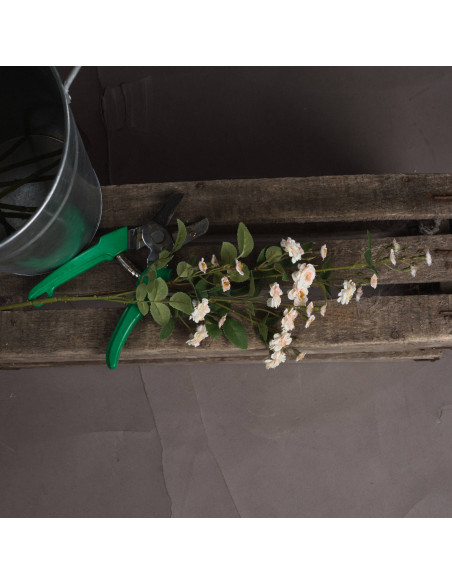 Buy Hill Interiors 19043 Cream Wild Meadow Rose online in UK with fast delivery from FastDaddy UK, your furniture expert.