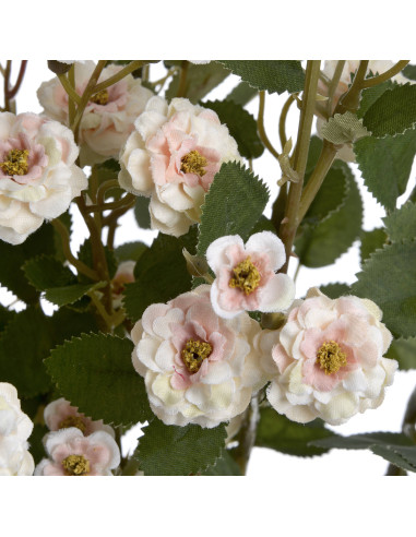 Full dimensions and specifications of Hill Interiors Cream Wild Meadow Rose 19043: Height 74.00cm, Width 15.00cm, perfect for y