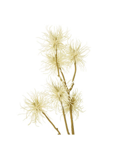 Hill Interiors Cream Xanthium Spray 23829 - Authentic Hill Interiors furniture directly from FastDaddy UK. Exclusive collection 2