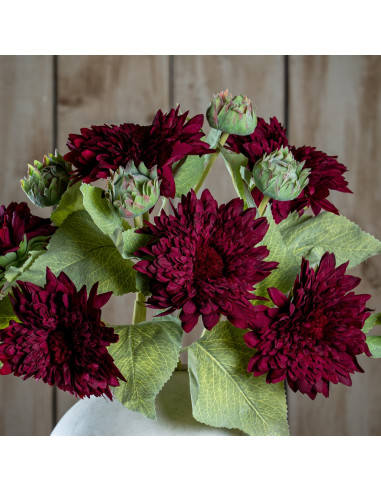 Hill Interiors Dahlia Burgundy Raven Stem 24403 - Authentic Hill Interiors furniture directly from FastDaddy UK. Exclusive coll