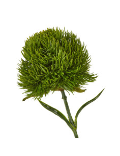Hill Interiors Dark Green Dianthus Stem 23839 - Authentic Hill Interiors furniture directly from FastDaddy UK. Exclusive collec 2